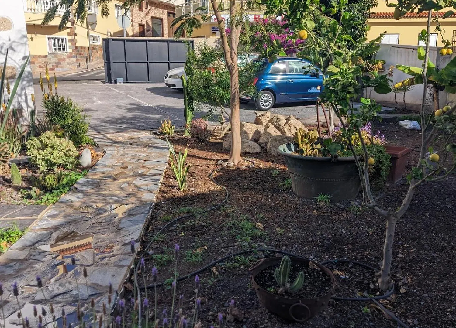 Appartamento Casa Roberta Agua Arona   Arona (Tenerife)
